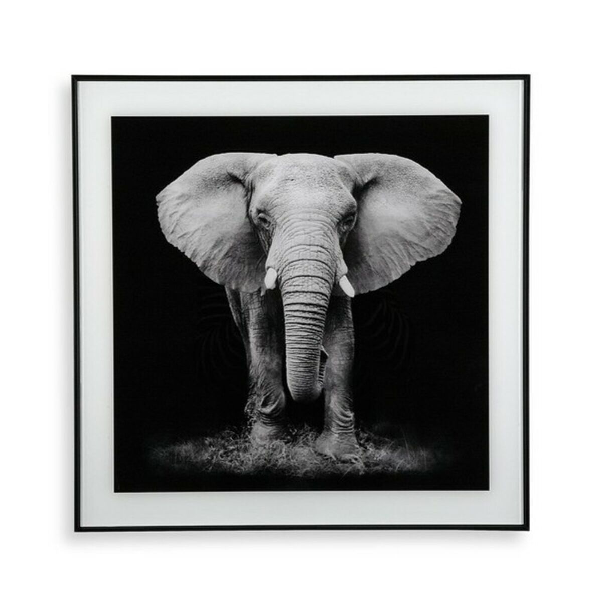 Maalaus Versa (2 x 50 x 50 cm)